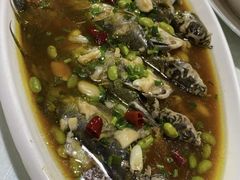 -呼吸森林·生态农庄农家乐私房菜