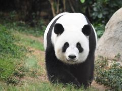 -香港海洋公园