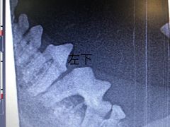 -美联众合动物医院·24h转诊中心