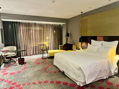 -南京禄口机场雅高铂尔曼大酒店