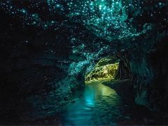 -怀托摩萤火虫洞