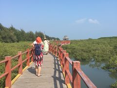 -北海金海湾红树林生态旅游区