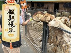 -保定市动物园
