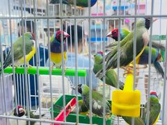 -三旗百汇商品城