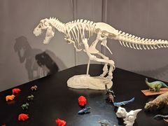 -中国3D打印文化博物馆