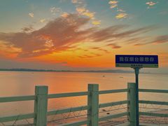 餐饮设施-养马岛旅游度假区