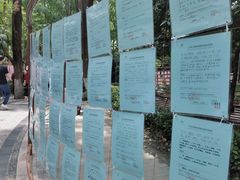 -人民公园-相亲角