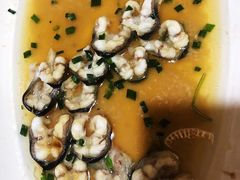 -呼吸森林·生态农庄农家乐私房菜