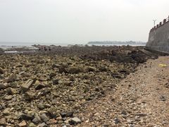 -青岛海景花园大酒店