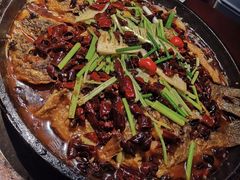 -老板恋上鱼(高新万达店)