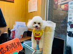 -宠物家(双井店)