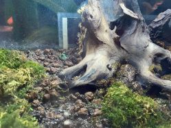 -酷嗒动物文化乐园(cutezoo西溪乐天城店)