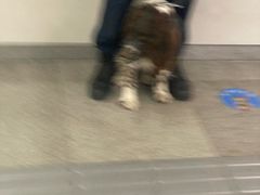 -簋街