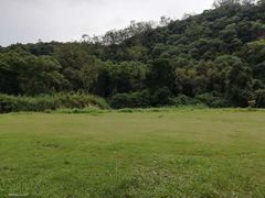 -南宁良凤江国家森林公园