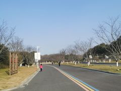 -羊山湖公园