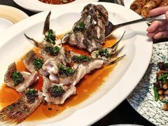 -道海元·潮粤汇(前滩店)