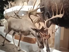 -陕西自然博物馆