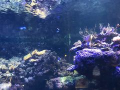 -海合安青岛极地海洋公园
