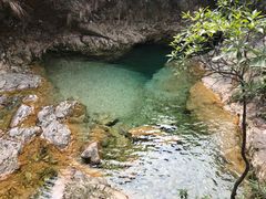 -南海湾森林生态园