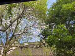 -溪口-滕头旅游景区