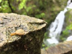 -百丈飞瀑
