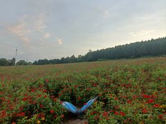 -帽儿山国家森林公园