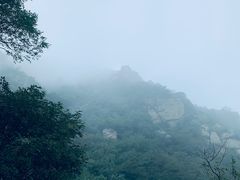 -阳台山自然风景区