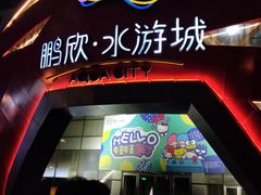 -鹏欣水游城