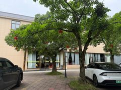 -胖大姐黄辣丁鱼庄(新津店)