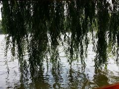 android_upload_pic-沈阳南湖公园