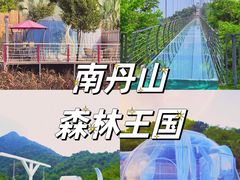 -南丹山森林王国