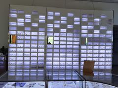 -云镜眼镜加工中心(南环路店)