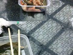 -老妈宫粽球