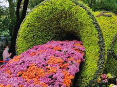 -杭州植物园