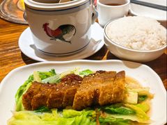 -丰收碗·陈皮果木烧鹅·23年老字号