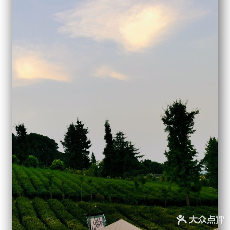 藏在森林里的宝藏避暑打卡地——梅见森林酒馆   