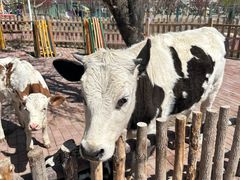 -水上乐园·欢乐世界