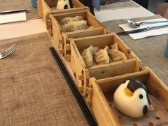 -帝企鹅自助餐厅•儿童岛•真企鹅(长隆企鹅酒店)