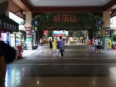 -呀诺达热带雨林