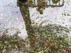 -苏州吴中太湖旅游区