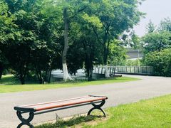 -九里河湿地公园