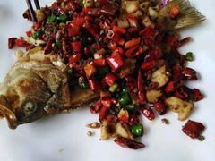 -庆合府重庆大排档(紫都城店)