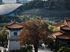 -梅州天地人花园酒店(梅县人民广场店)