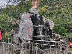 -大岭沟猕猴桃谷风景区