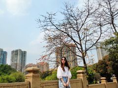 -晓港公园