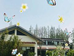 -前小桔亲子创意农场·草莓采摘·露营烧烤