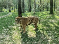 -北京野生动物园