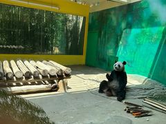 -杭州野生动物世界