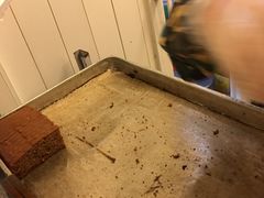 -五道口枣糕王(成府路店)