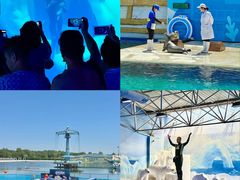 -秦皇岛乐岛海洋王国